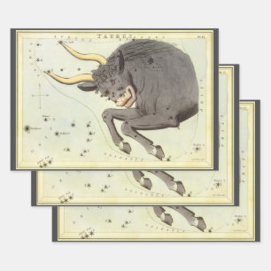 Feuille De Papier Cadeau Taureau, Constellation Vintage Urania's Mirror