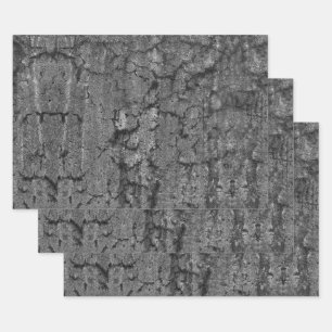 Feuille De Papier Cadeau Texture Antique Vintage Grunge Noir Et Blanc