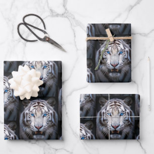 Feuille De Papier Cadeau Tigre blanc aux yeux bleus