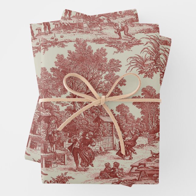 Feuille De Papier Cadeau Tissu de Jouy (En situation)