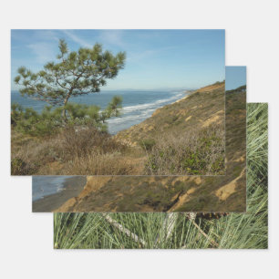 Feuille De Papier Cadeau Torrey Pine and California Coastline Landscape