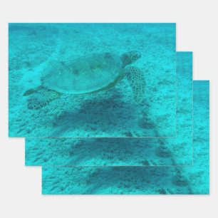 Feuille De Papier Cadeau Tortue verte hawaïenne