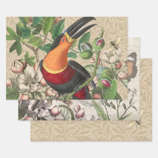 Feuille De Papier Cadeau Toucan Jungle Tropical Bird Belle antique (Lot)