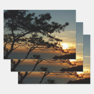 Feuille De Papier Cadeau Tourrey Pine Sunset I California Paysage