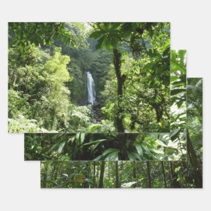 Feuille De Papier Cadeau Trafalgar Falls Tropical Rainforest Photographie