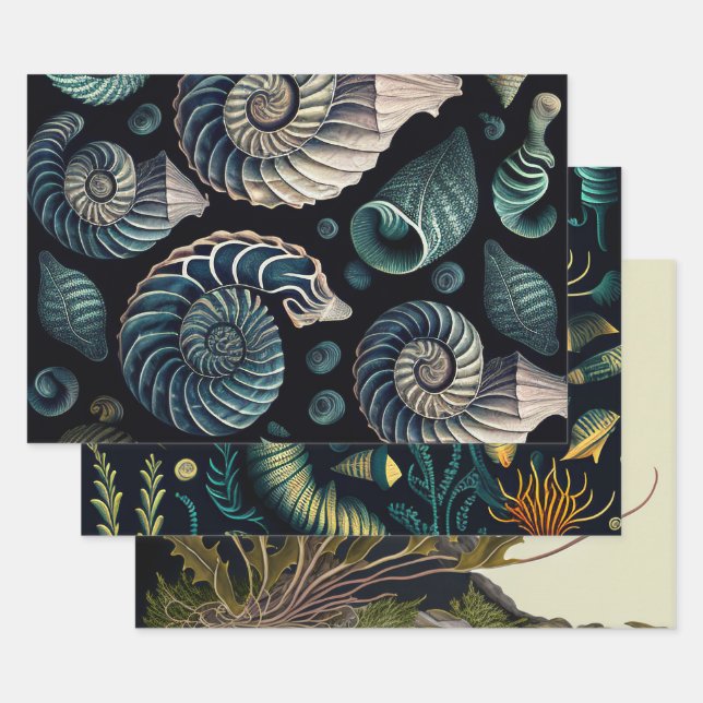 Feuille De Papier Cadeau Trésors marins (Lot)