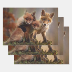 Feuille De Papier Cadeau Triplets Foxy