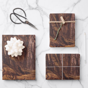 Feuille De Papier Cadeau Troncs d'arbres Brown dans une forêt automnale
