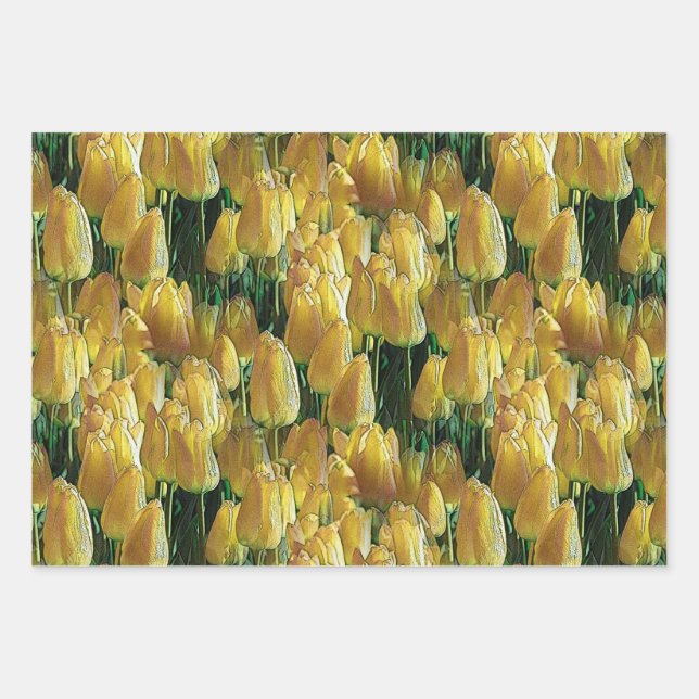 Feuille De Papier Cadeau Tulips Sunshine Yellow (Devant)