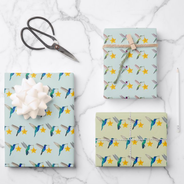 Feuille De Papier Cadeau Vacances Colibri (Recto)