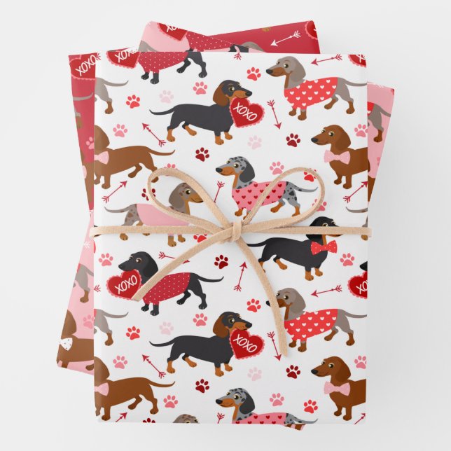 Feuille De Papier Cadeau Valentine Dachshund (En situation)