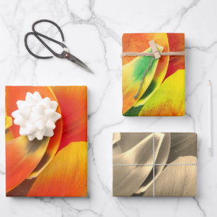 Feuille De Papier Cadeau Variété colorée Tulip Photo Pétale Toutes les 