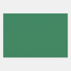 Feuille De Papier Cadeau Vert uni chic moderne festif amusant