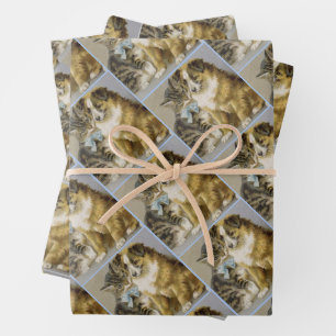 Feuille De Papier Cadeau Vintage cat and dog intimate friendship