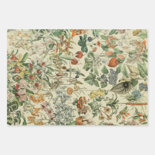 Feuille De Papier Cadeau Vintage Floral Rustique Élégant Botanique