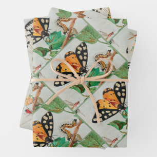 Feuille De Papier Cadeau Vintage Illustrator of butterflies on berries