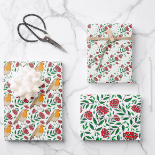Feuille De Papier Cadeau Vintage Noël Robin Berries Rouge Vert Blanc