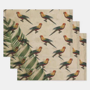 Feuille De Papier Cadeau Vintage Oiseaux jaunes, verts et rouges