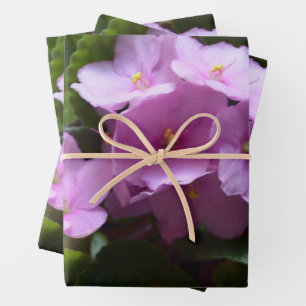 Feuille De Papier Cadeau Violet africain Saintpaulia - Fleurs roses