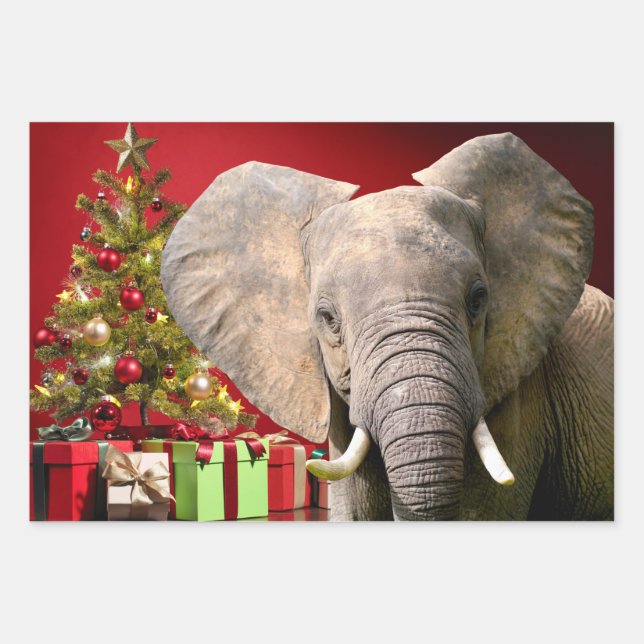 Feuille De Papier Cadeau Voeux de Noël éléphant (Devant)