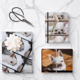 Feuille De Papier Cadeau Votre chiot chien animal de compagnie 3 photos per