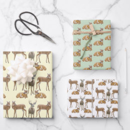 Feuille De Papier Cadeau White Tail Deer Wildlife Art