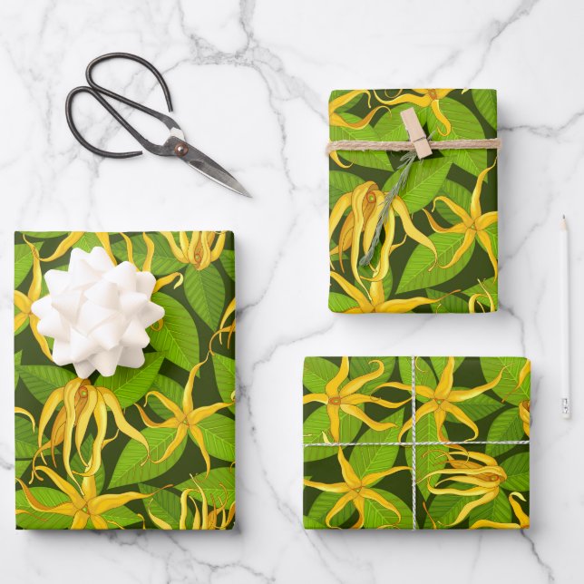 Feuille De Papier Cadeau Ylang Ylang Fleurs Parfumées Exotiques (Recto)