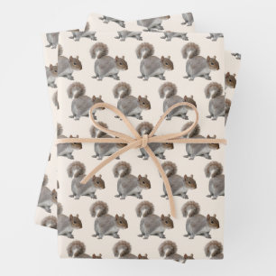 Feuille de papier d'emballage Écureuil adorable
