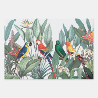 Feuille de papier d'enveloppement d'OISEAUX TROPIC