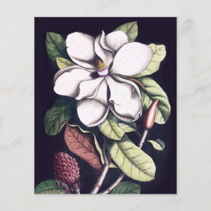 Feuille de papier Merci à fleurs Magnolia