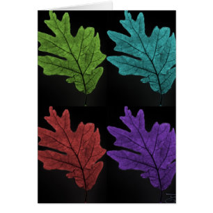 feuille de warholesque