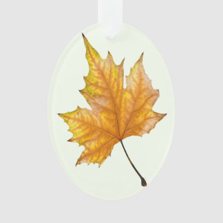 Feuille d'érable d'automne