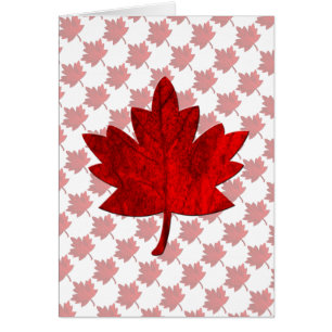 Feuille d'érable du Canada par Shirley Taylor