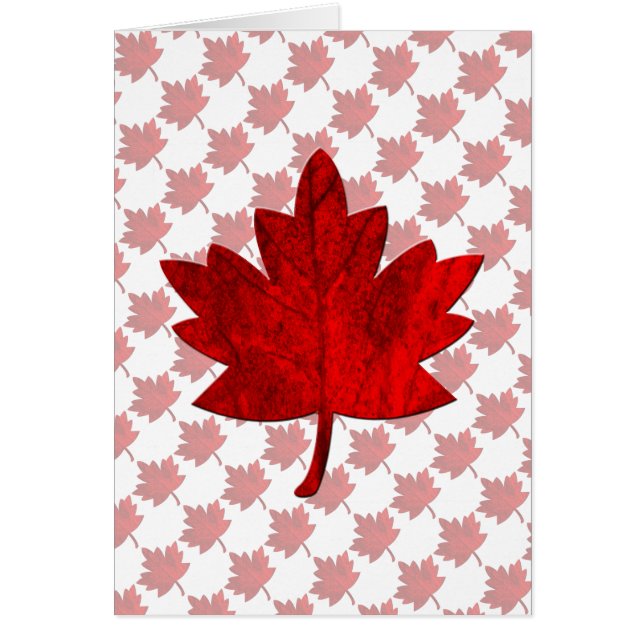 Feuille d'érable du Canada par Shirley Taylor (Devant)
