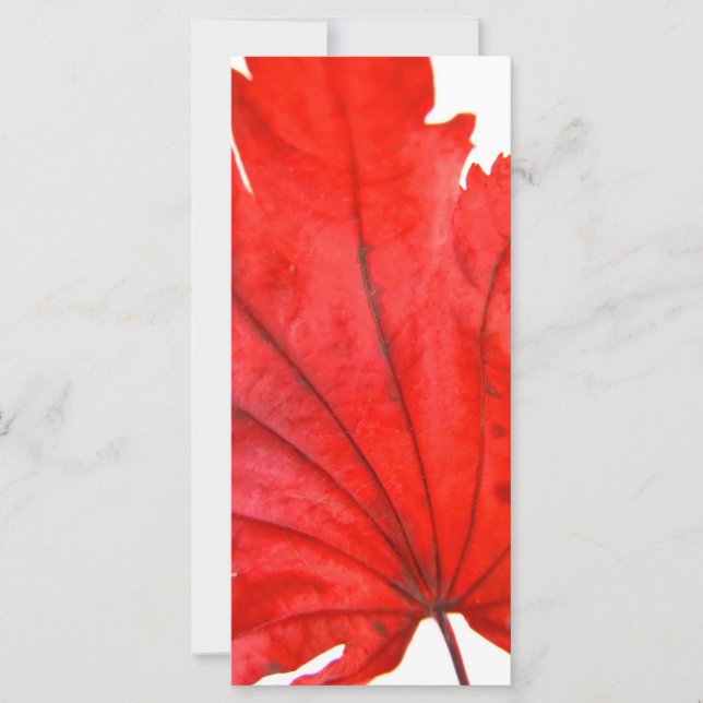 Feuille d'érable japonaise (Devant)