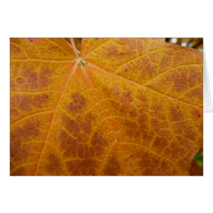 Feuille d'érable jaune Automne Abstraite Nature