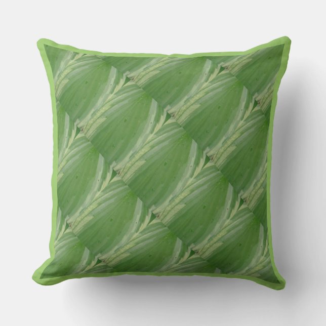 feuille d'hosta, coussin vert presque solide (Recto)