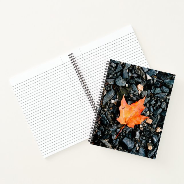 Feuille d'orange sur Carnet spiral de roches noire (Intérieur)