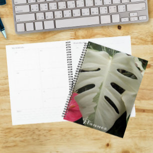 Feuille Florale de Monstera panachée