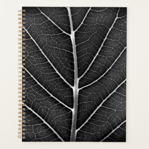 Feuille lumineuse noir et blanc en gros plan