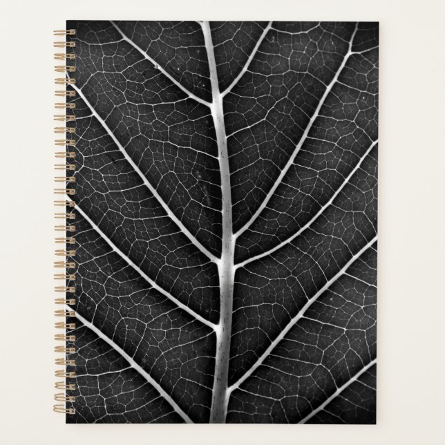 Feuille lumineuse noir et blanc en gros plan (Devant)