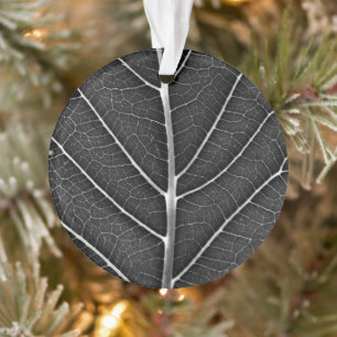 Feuille lumineuse noir et blanc en gros plan