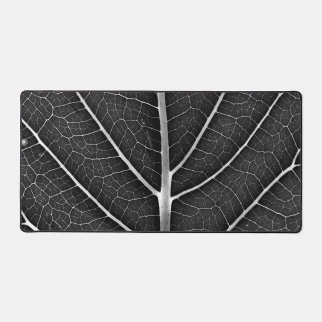 Feuille lumineuse noir et blanc en gros plan (Recto)