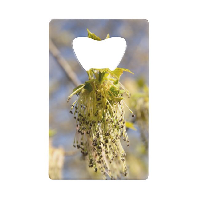 Feuille mignons en photo de printemps (Devant)