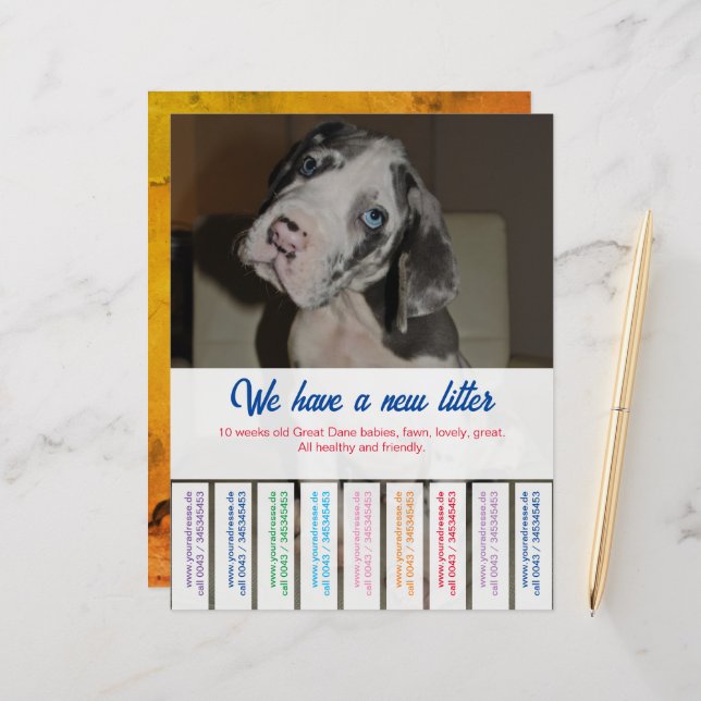 Feuille papier (Devant/Arrière en situation)