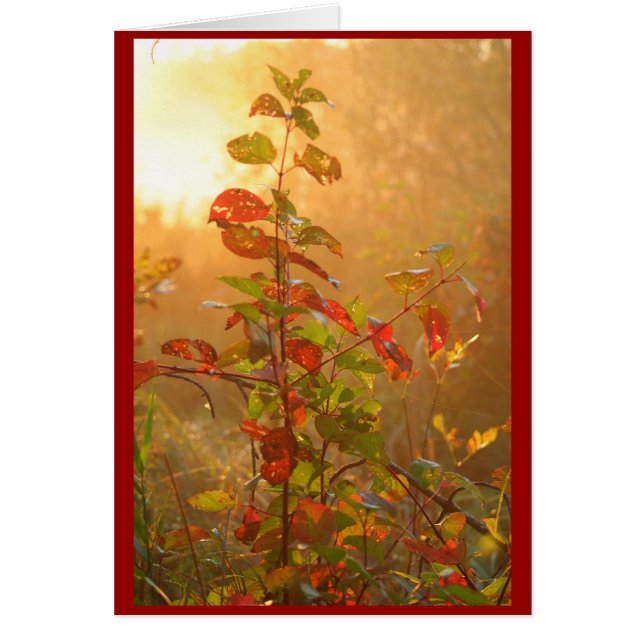 feuille rouge (Devant)