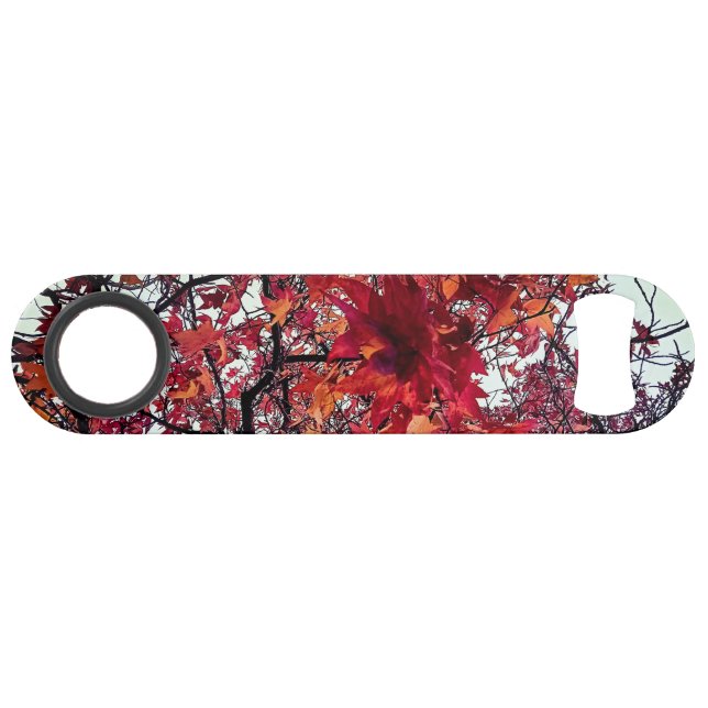 Feuille rouge et orange (Devant (Horizontal))