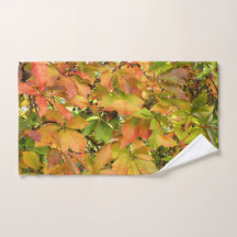 Feuille sauvage de vigne d'automne