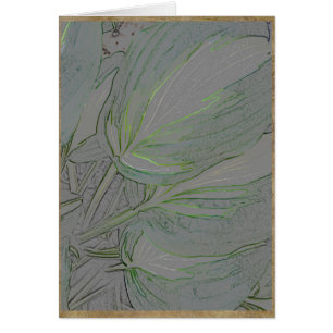 Feuille varié de hosta