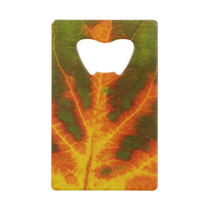 Feuille vert orange et jaune d'Aspen #1